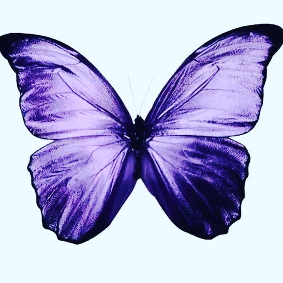 Meet your Posher, Michelle - Picture 1 of 1